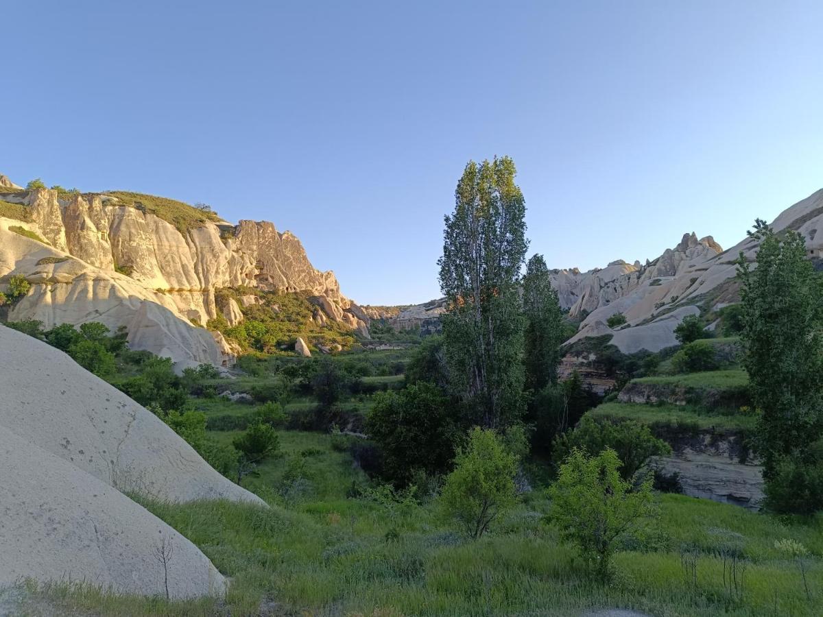 Sah Saray Cave Suites Halal Hotel Göreme Exterior foto